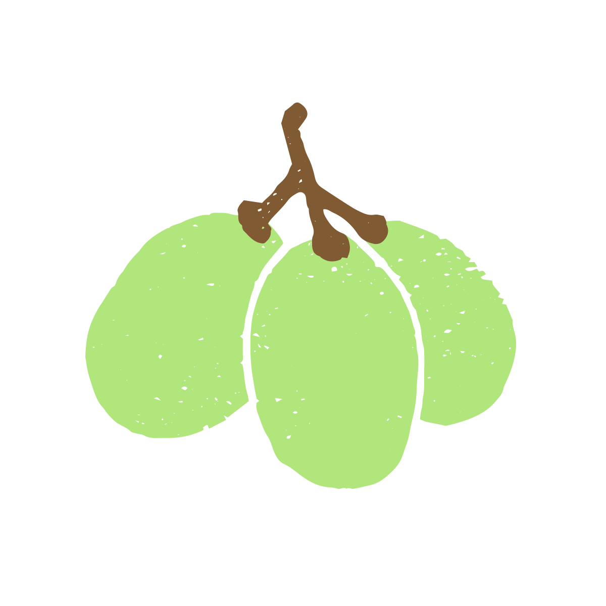 Grapes