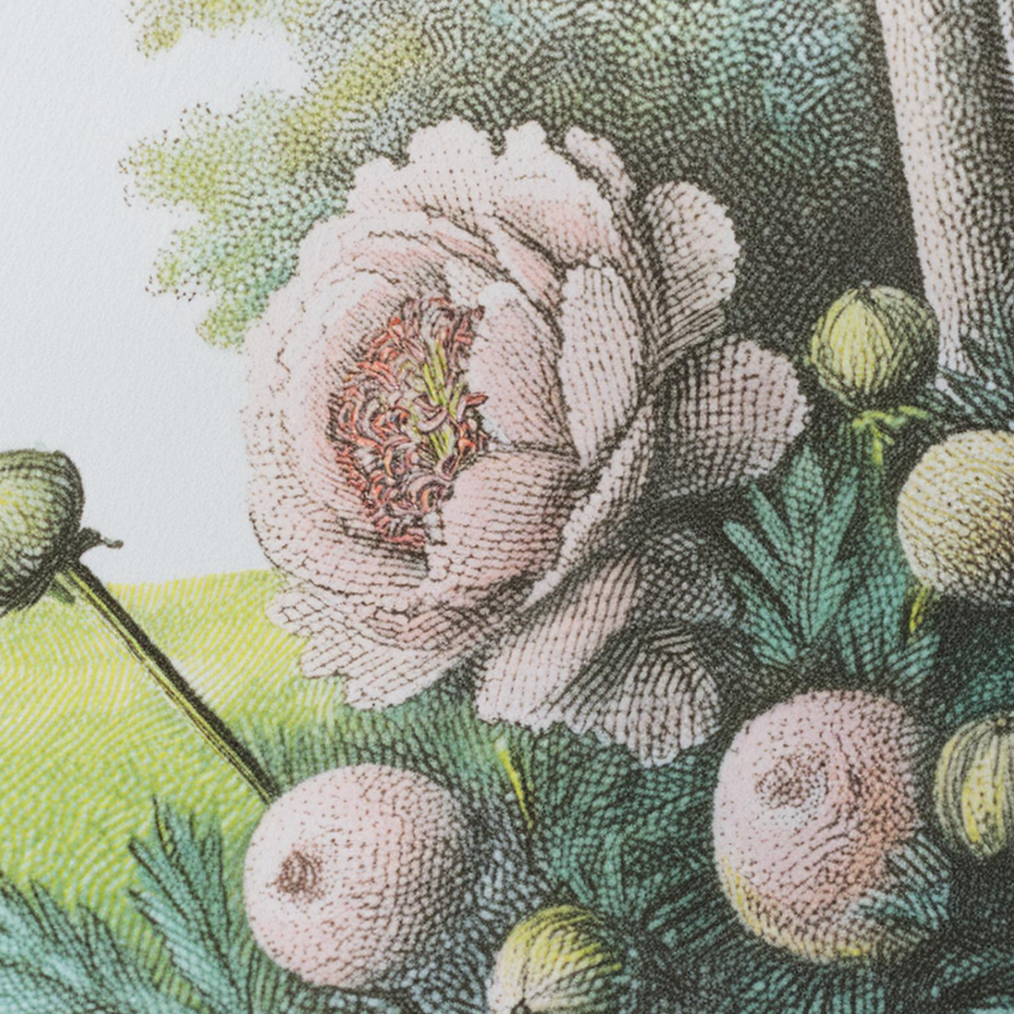 No.02 Peony Face Oil