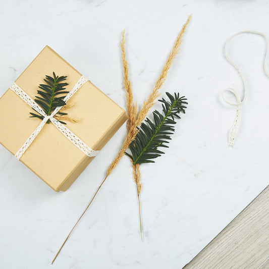 Wrapped present with leaves